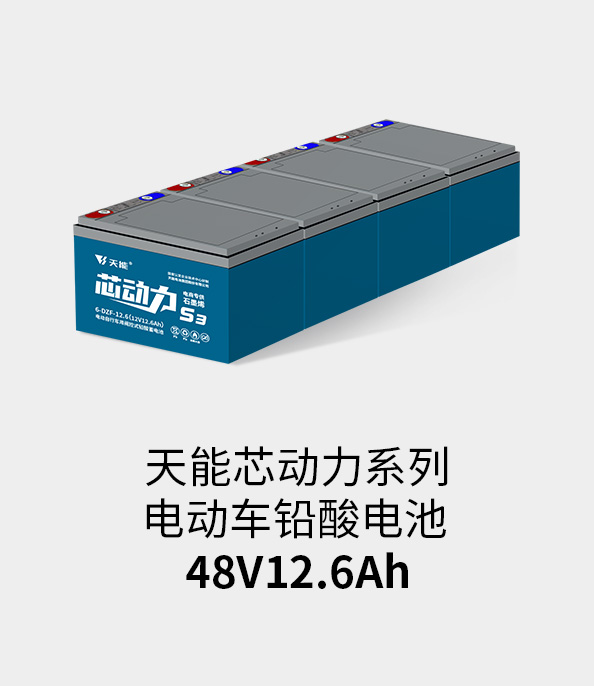 UED官网电池48v12ah