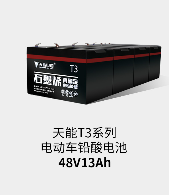 UED官网T3系列48v13ah